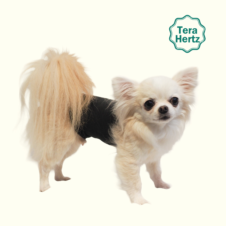 1/23再入荷】犬リカバリーグッズ 犬介護 爆売れ人気商品! 【テラヘルツ