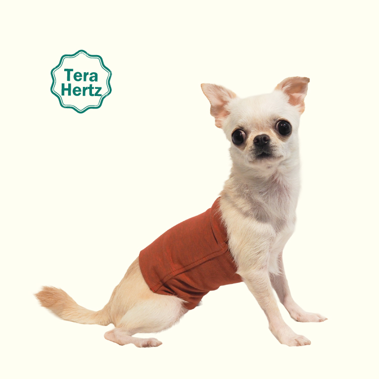 1/23再入荷】犬リカバリーグッズ 犬介護 爆売れ人気商品! 【テラヘルツ