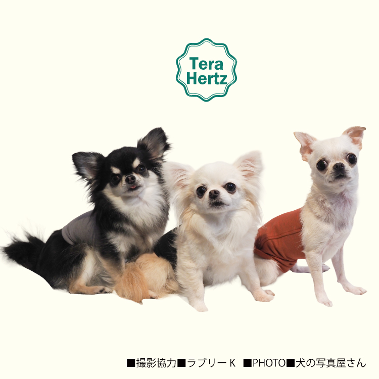 愛犬@ アルファアイコン】ドライニットティー(2024年モデル) - INU