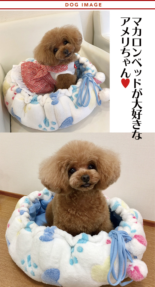 マカロンベッド犬画像