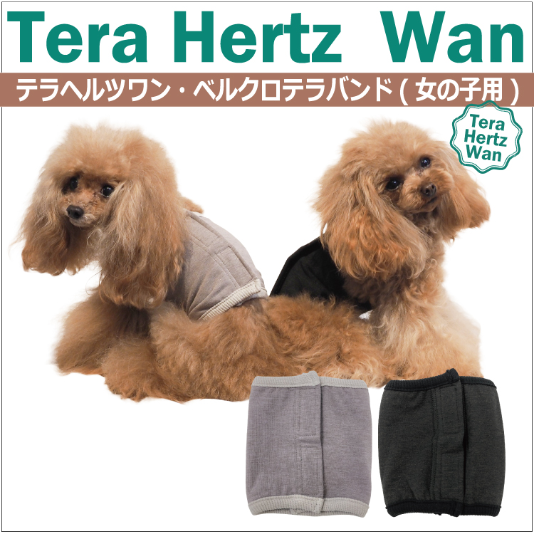 爆売れ中！ マジックテープ付きで着脱カンタン！ 犬介護