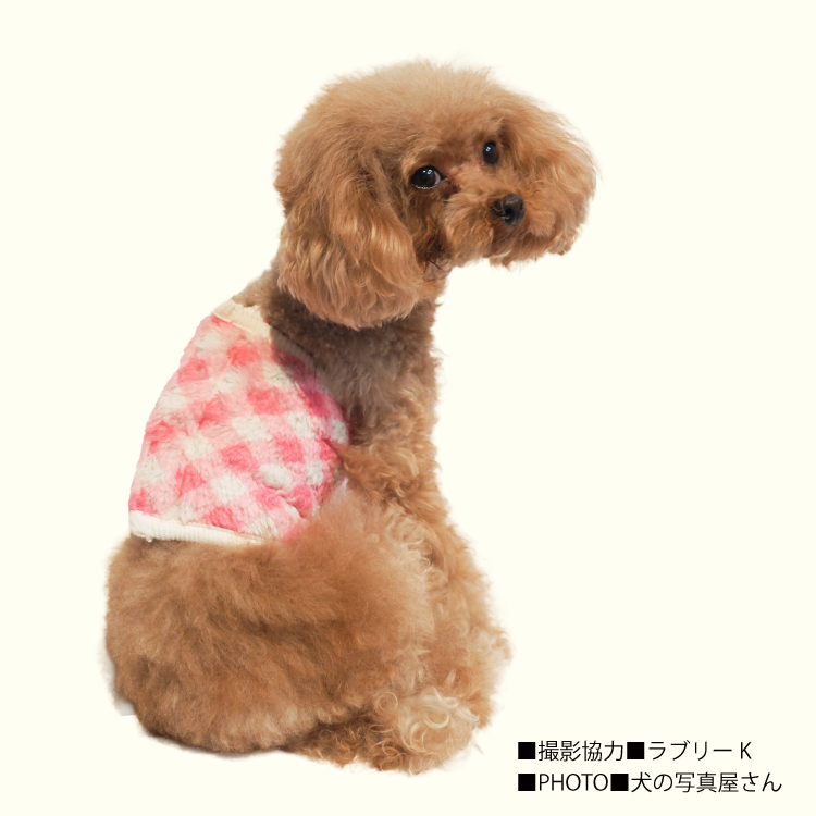 vintage dog ❀ クルクル巻き毛がキュートな ワンちゃん vintage dog