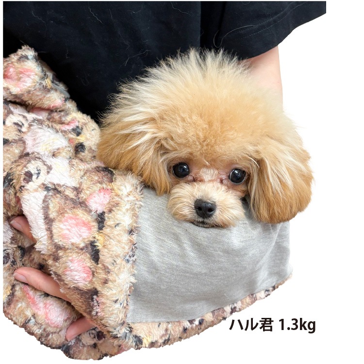 10月中旬から下旬入荷予定】犬リカバリーグッズ 2026クークチュール