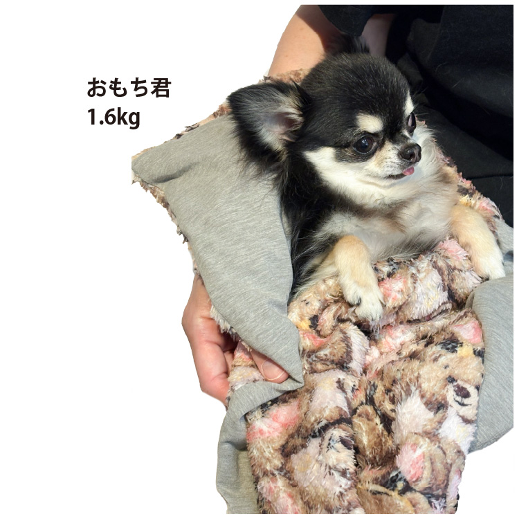 犬リカバリーグッズ 爆売れ人気商品!　 テラヘルツ・ワンニャンテラブランケット 10月中旬から下旬入荷予定】犬リカバリーグッズ 2026クークチュール