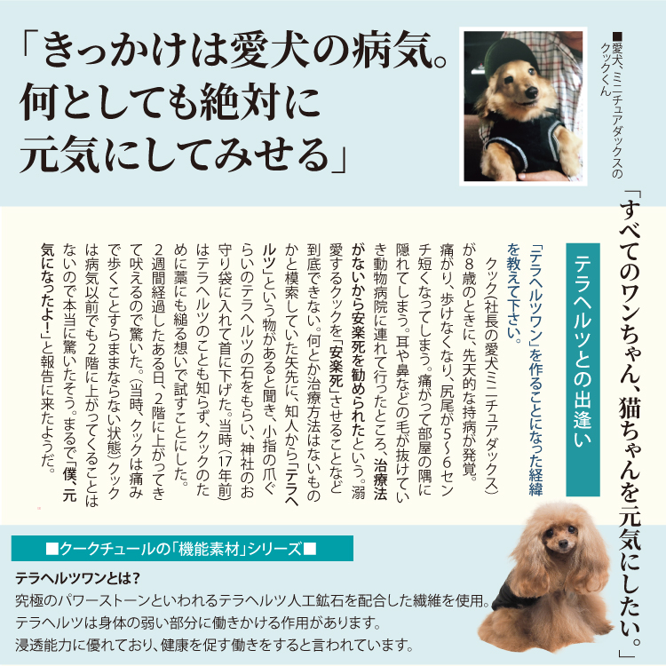 ケヴィンインタビュー
