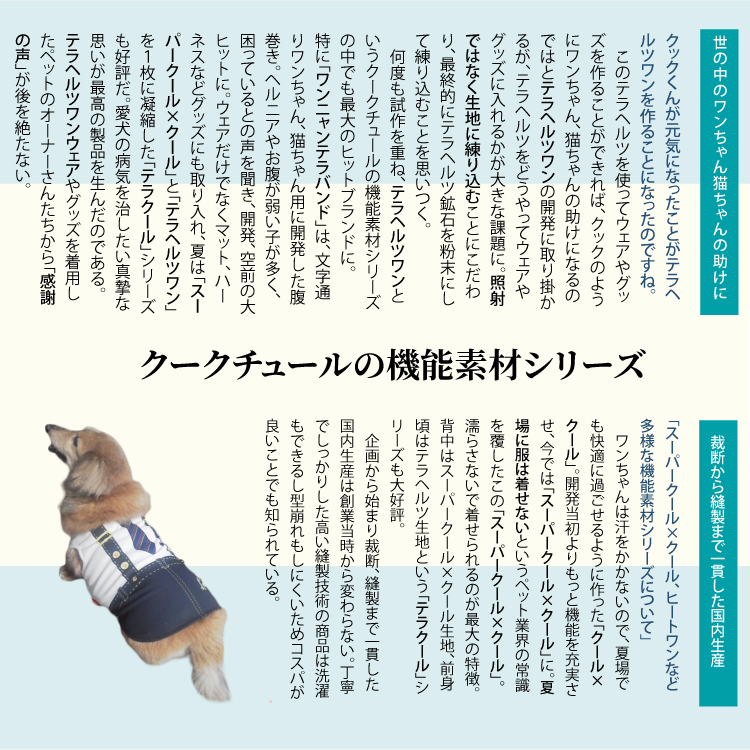 ケヴィンインタビュー