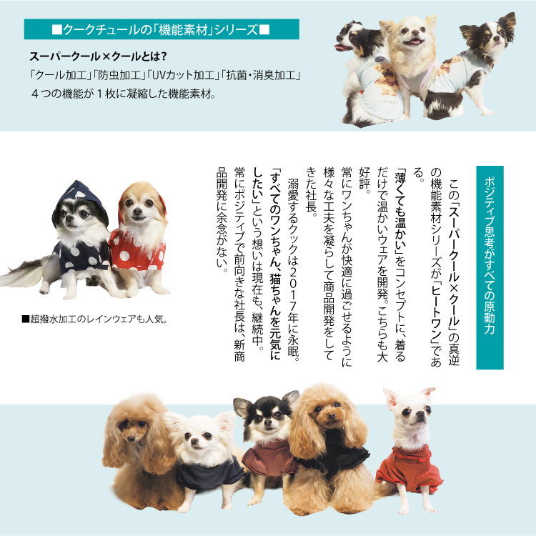 ケヴィンインタビュー