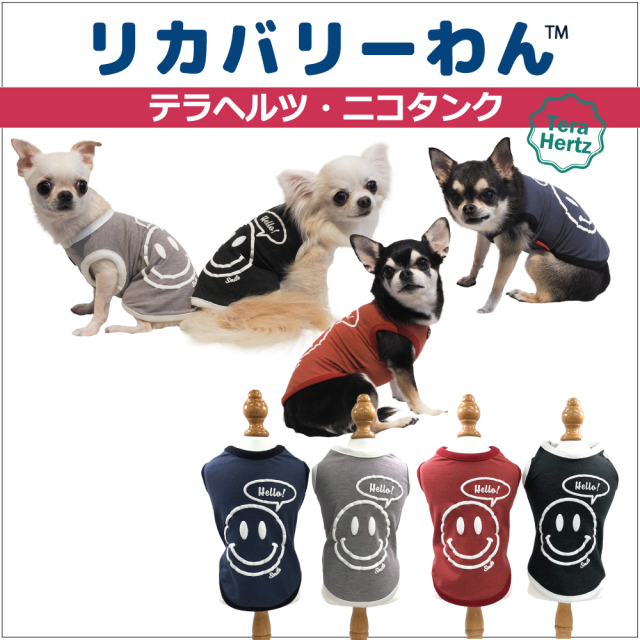 犬リカバリーウェア　人気が止まらない♪ ぷくぷくニコちゃんがCUTEな大人気商品! 【テラヘルツ・ニコタンク】（4色）12230[犬服]