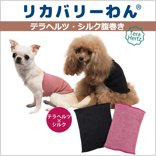 リカバリーワン通年ウェア&グッズ