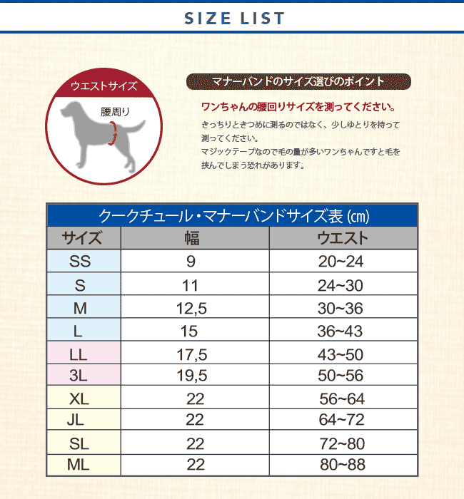 7070テラパワーバンドリニューアル