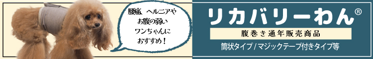 rマーク入り2026夏物新作