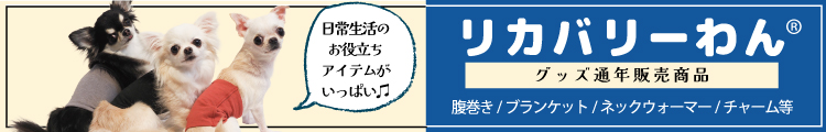 rマーク入り2026夏物新作