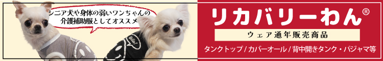 rマーク入り通年ウェアグッズ