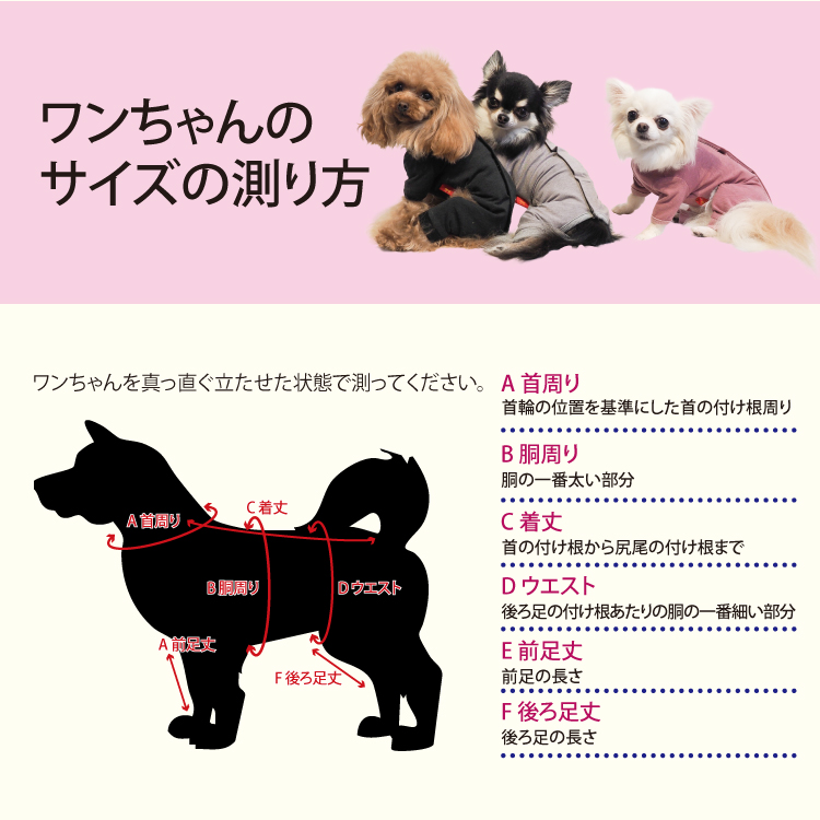 愛犬の3サイズをはかりましょう！ 犬の服＆介護グッズの【クー