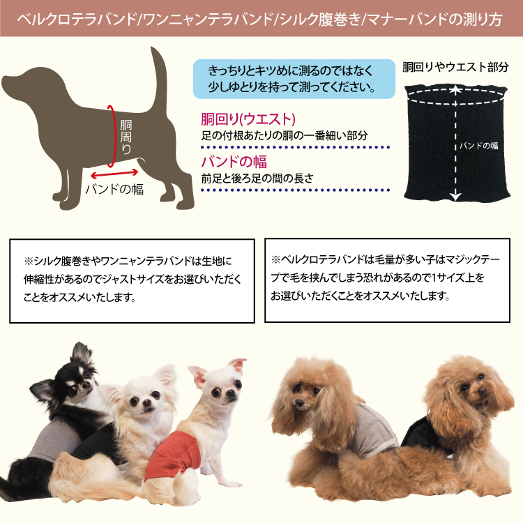 愛犬の3サイズをはかりましょう！ 犬の服＆介護グッズの【クー